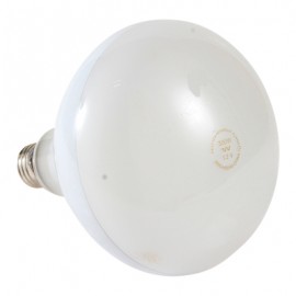 FOCO LÁMPARA ALBERCA 300R40/FL 12V-TodoenunSitio-PHILIPS