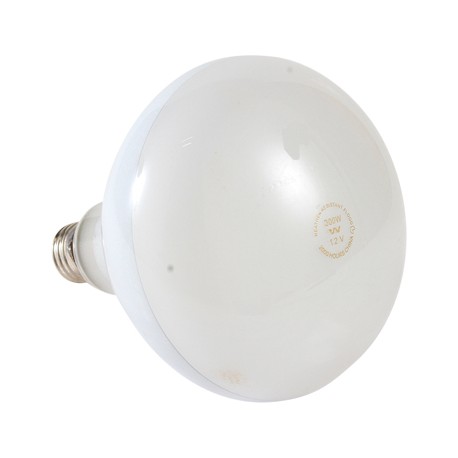 FOCO LÁMPARA ALBERCA 300R40/FL 12V-TodoenunSitio-PHILIPS