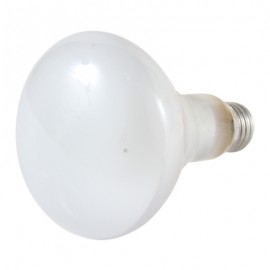 REFLECTOR 65W-TodoenunSitio-PHILIPS
