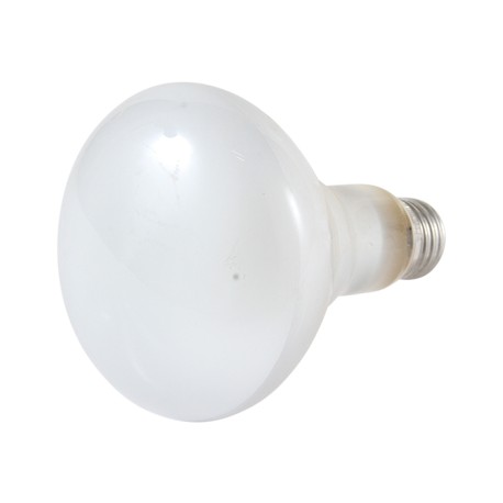 REFLECTOR 65W-TodoenunSitio-PHILIPS