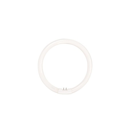 FOCO CIRCULAR 22 W LUZ FRIA-TodoenunSitio-SMARTLIGHT