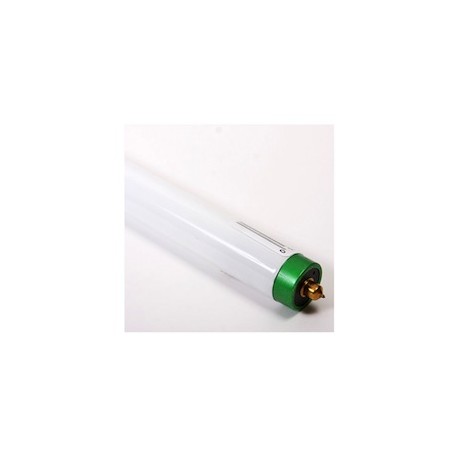LÁMPARA FLUORESCENTE T8 60W LUZ BLANCA-TodoenunSitio-PHILIPS