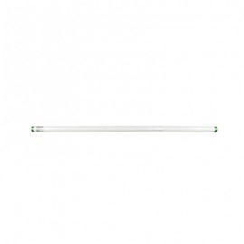FOCO DE TUBO FLUORESCENTE T8 PHILIPS 59 W 5900 LM LUZ FRÍA BLANCA-TodoenunSitio-PHILIPS