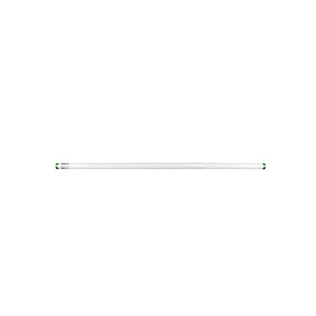 FOCO DE TUBO FLUORESCENTE T8 PHILIPS 59 W 5900 LM LUZ FRÍA BLANCA-TodoenunSitio-PHILIPS