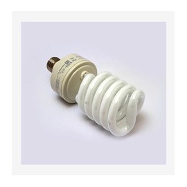 FOCO ESPIRAL 42 W LUZ BLANCA-TodoenunSitio-ECOSMART