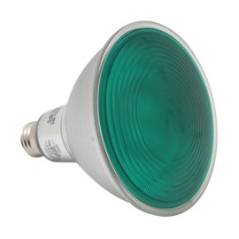 FOCO LED PAR38 PHILIPS 13.5W LUZ VERDE-TodoenunSitio-PHILIPS