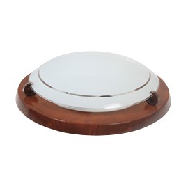 AMERICANO Plafón INTERIOR RAIZ-TodoenunSitio-ADESI LUMINA