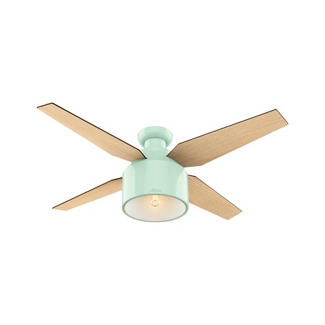 VENTILADOR DE TECHO HUNTER CRANBROOK 52IN CON LUZ-TodoenunSitio-HUNTER