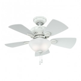 VENTILADOR DE TECHO HUNTER WATSON 34IN CON LUZ-TodoenunSitio-HUNTER